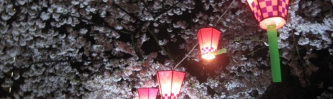 Cherry Blossoms and Paper Lanterns